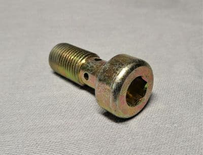 MV Agusta F4 Front Fork Damper Bolt 12x30mm 8000A0841