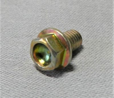 MV Agusta Flanged Screw M6x10mm 800062725