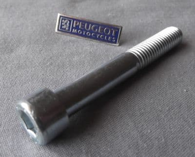 Peugeot XPS XR6 Rear Suspension Pivot Bolt M10x1.5x75mm PE754527