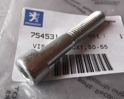 Peugeot XR6 Rear Suspension Pivot Bolt M10x1.5x55mm PE754531