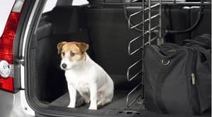 XC60 Load compartment divider