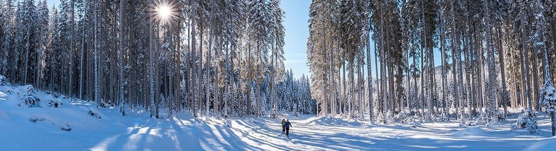 9 Handy Tips for Snow Photography
