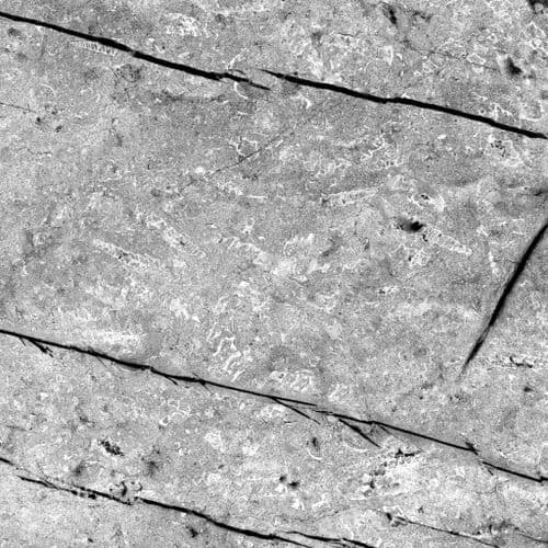 Alloy Decor Splashback Fossil Marble - Pietra