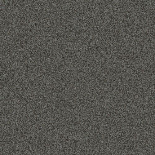 Bushboard Options 38mm Maryland Fonce - Surf