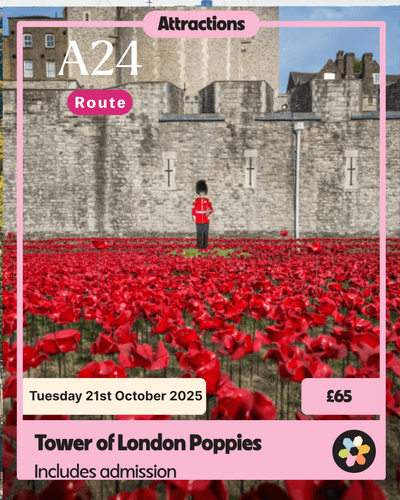 Excursion - Tower of London with Remembrance Poppies  -  Tuesday 21st  October - A24 Route