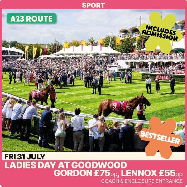 Goodwood Qatar Festival - Ladies Day -31st July - A23
