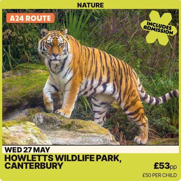 Howletts Animal Sanctuary -Wednesday 27th May A24 Route