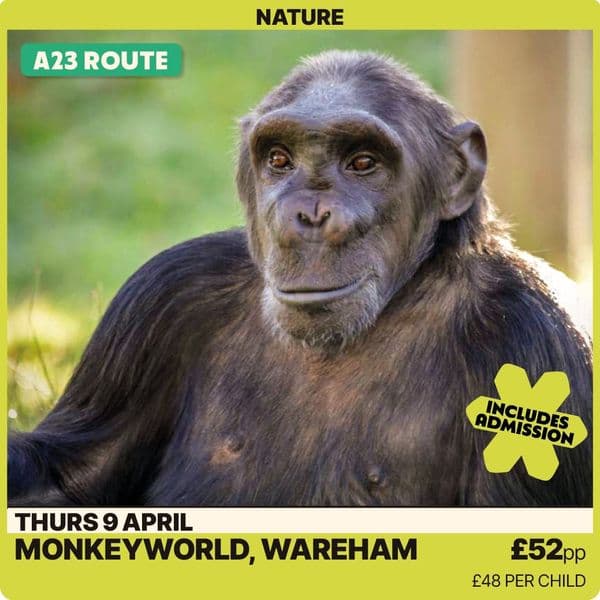 Monkeyworld Wareham-Thursday 9th April