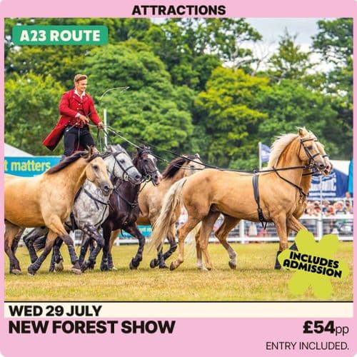 New Forest Show -Wednesday 29th July