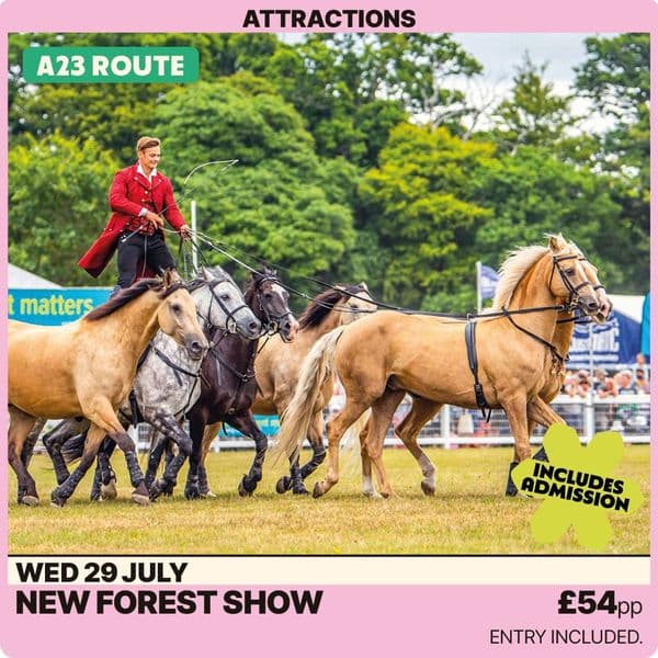 New Forest Show -Wednesday 29th July