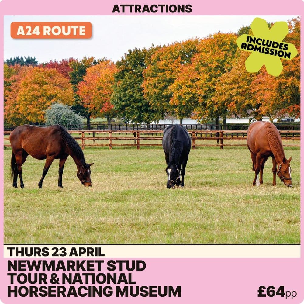 Newmarket Stud Tour and Racing Museum -Thursday 23rd April A24 Route