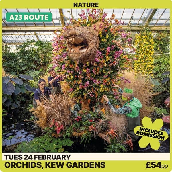 Orchids @ Kew Gardens 24th February