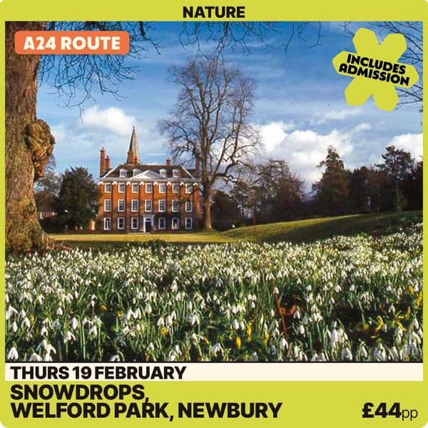Snowdrops @ Welford Park -Thursday 19th February A24 Route