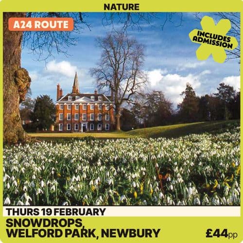 Snowdrops @ Welford Park -Thursday 19th February A24 Route