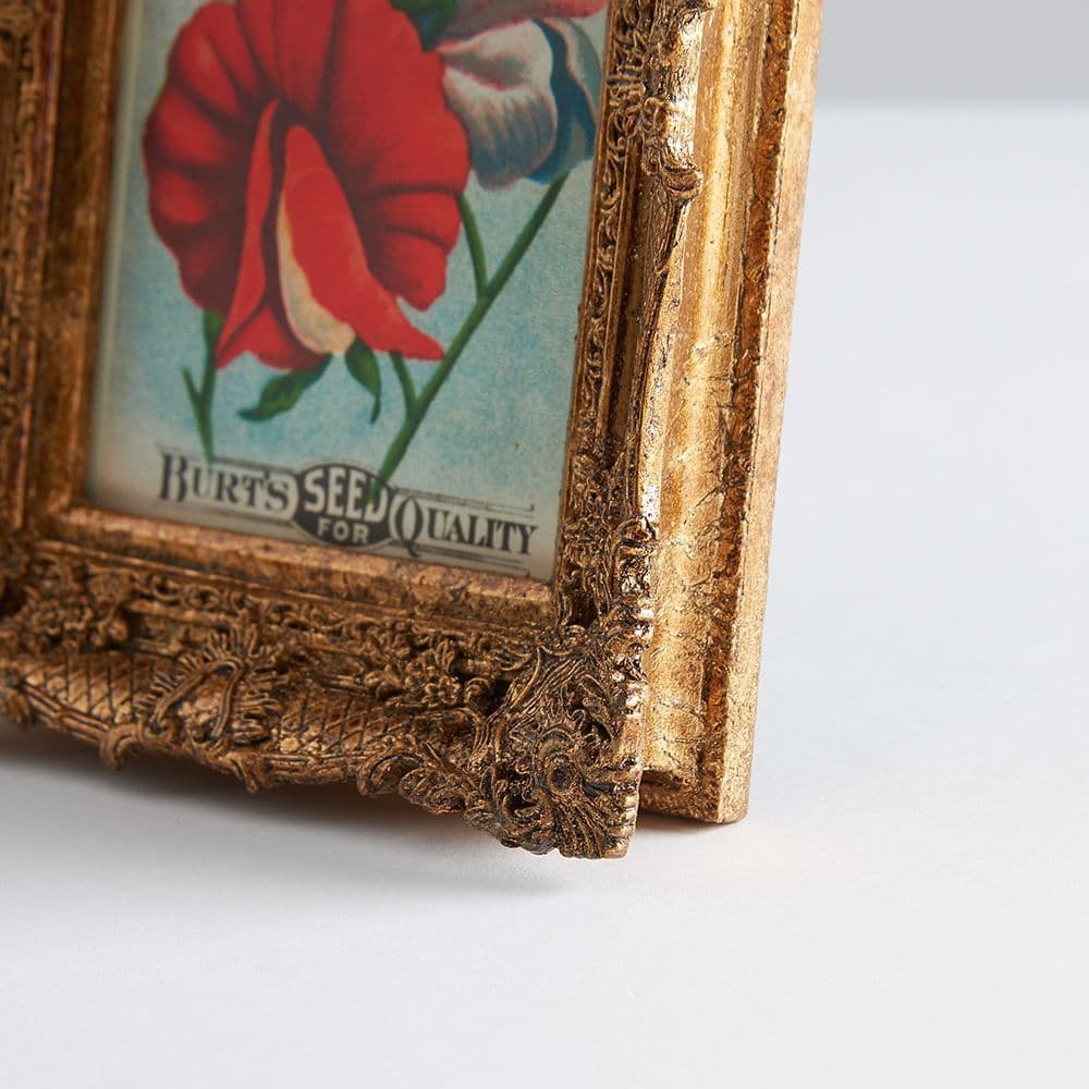 Ornate Gold Picture Frame
