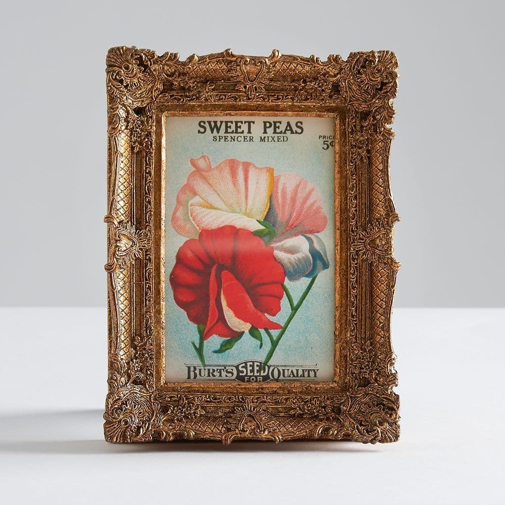 Ornate Gold Picture Frame