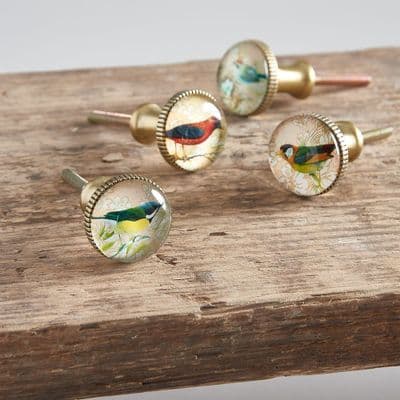 Set of Four Bird Knobs