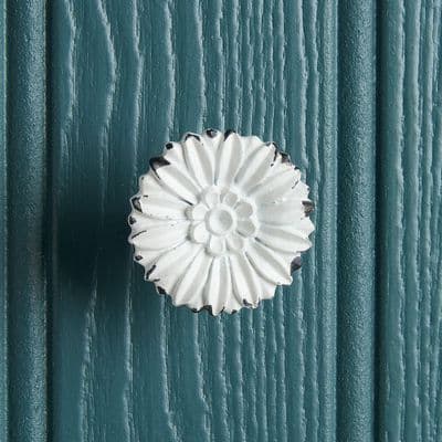 White Daisy Knob