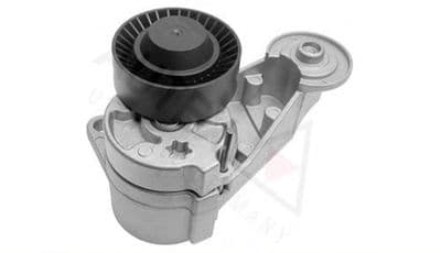 Genuine S60, S80, V70, XC90 D5/2.4D Auxillary Belt Tensioner (CH-349808)