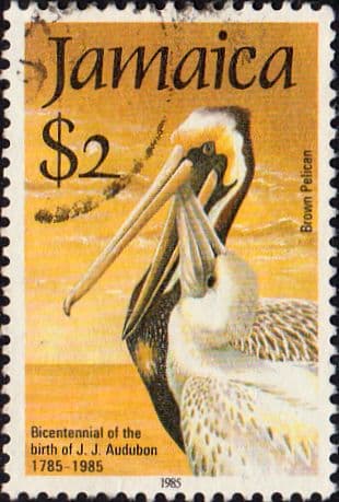 Jamaica 1985 John J Audubon Ornathologist SG 622 Fine Used