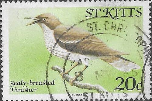 1981 St Kitts Birds SG 60A Fine Used