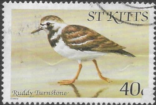 1981 St Kitts Birds SG 63A Fine Used