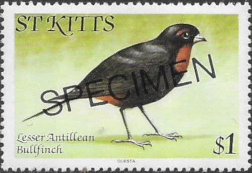 1981 St Kitts Birds SG 67A SPECIMEN Fine Mint