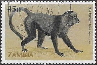 1985 Zambian Primates SG 427 Fine Used