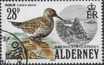 Alderney 1984 Birds SGA 16 Fine Used