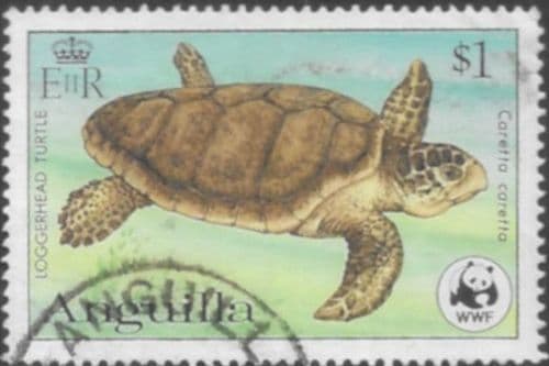 Anguilla 1983 Turtles SG 563 Fine Used