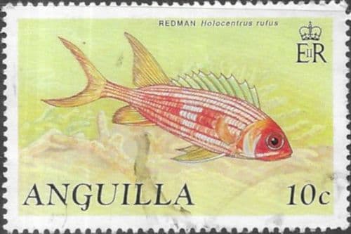 Anguilla 1990 Fish SG 831b Fine Used