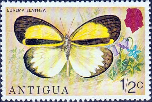 Antigua 1975 Butterflies SG 449 Fine Mint