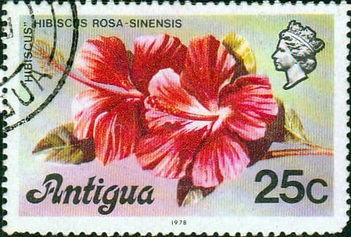 Antigua 1978 Multicoloured - Flowers SG 479B Fine Used