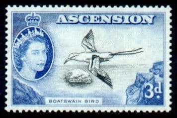 Ascension 1956 Queen Elizabeth II Bird SG 62 Fine Mint