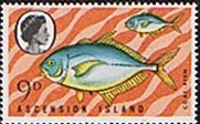 Ascension Island 1970 Fish SG 127 Fine Mint