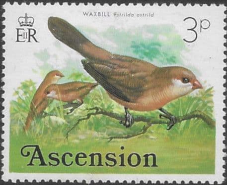 Ascension Island 1976 Birds SG 201 Fine Mint