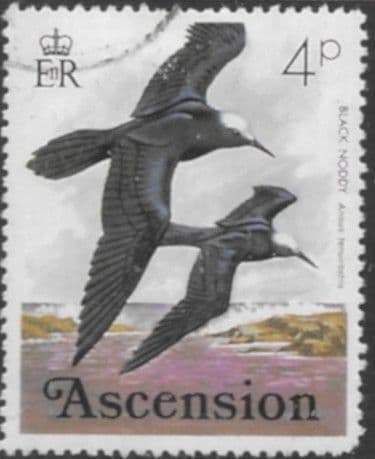 Ascension Island 1976 Birds SG 202 Fine Used