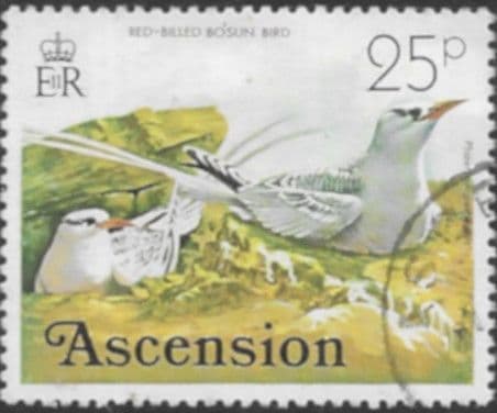 Ascension Island 1976 Birds SG 211 Fine Used