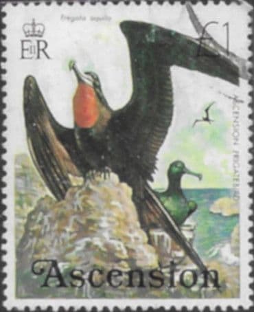 Ascension Island 1976 Birds SG 213 Fine Used