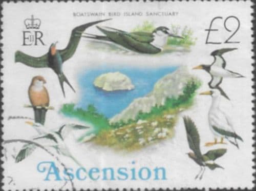 Ascension Island 1976 Birds SG 214 Fine Used