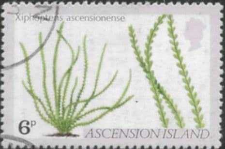 Ascension Island 1980 Ferns and Grasses SG 259 Fine Used
