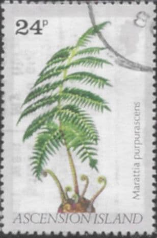 Ascension Island 1980 Ferns and Grasses SG 263 Fine Used