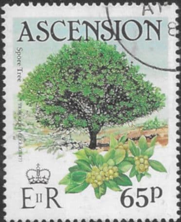 Ascension Island 1985 Trees SG 375 Fine Used
