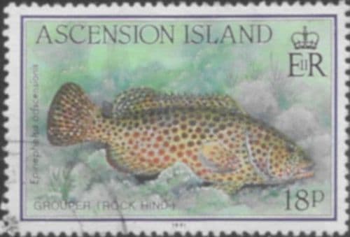 Ascension Islands 1991 Fish SG 561 Fine Used