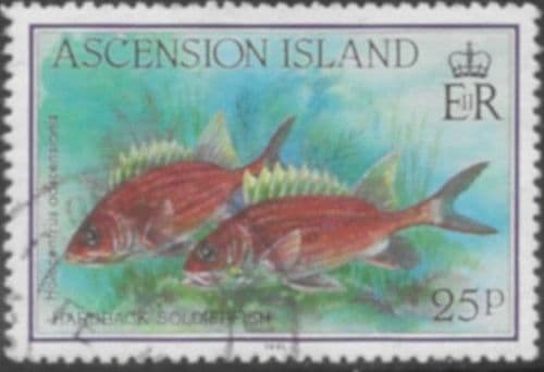 Ascension Islands 1991 Fish SG 563 Fine Used
