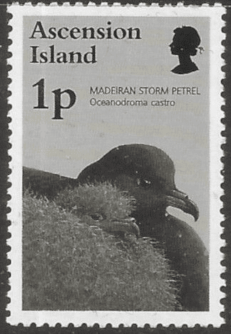 Ascension Islands 1996 Birds SG  679 Fine Mint