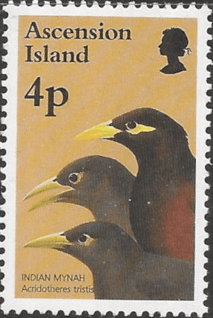 Ascension Islands 1996 Birds SG 681 Fine Mint