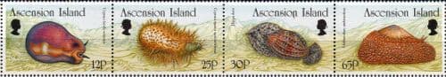 Ascension Islands 1996 Molluscs Set Fine Mint