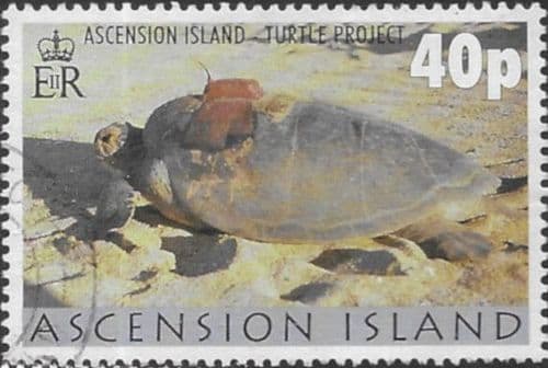 Ascension Islands 2000 Turtle Project SG 797 Fine Used