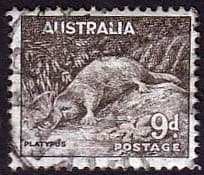 Australia 1937 SG 173 Platypus Fine Used